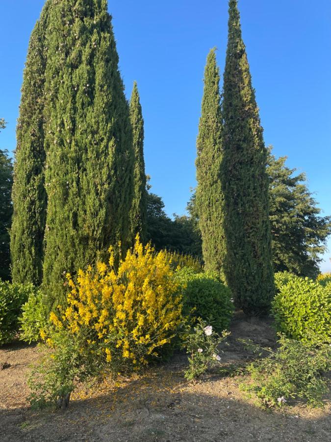 דירות San Vivaldo Tuscany Relax H&H - Helly House מראה חיצוני תמונה